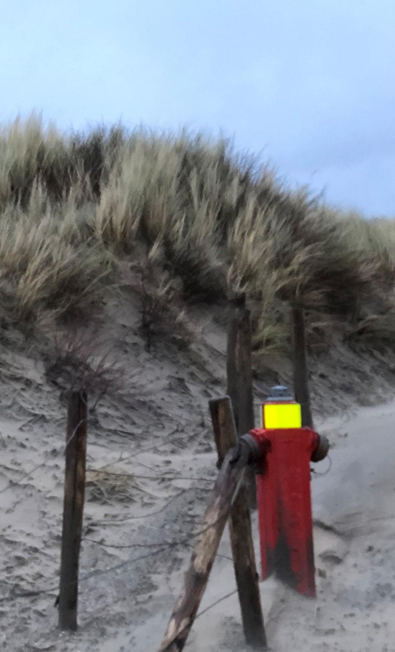 A red fire hydrant is partially obscured by tall grass and sandy terrain, with wooden posts and wire fencing nearby. The sky is overcast, suggesting a gloomy atmosphere.
Ein roter Hydrant ist teilweise von hohem Gras und sandigem Untergrund verdeckt; in der Nähe stehen Holzpfosten und ein Drahtzaun. Der Himmel ist bewölkt, was eine düstere Atmosphäre vermittelt.