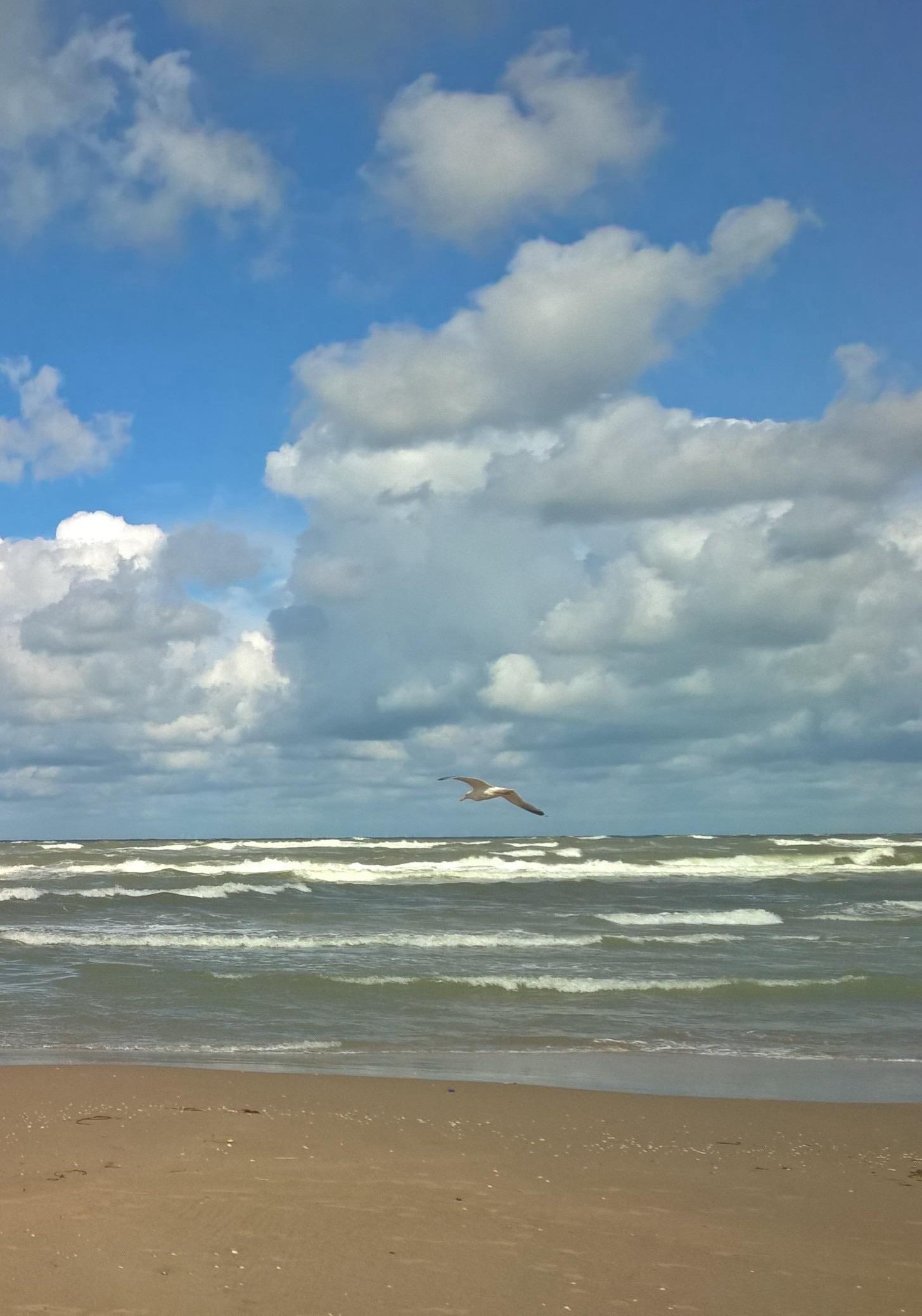 A scenic beach view featuring waves lapping at the shore, a sandy beach in the foreground, and a partly cloudy sky with varying shades of blue. A bird can be seen gliding above the water.

Ein malerischer Strandblick mit Wellen, die an das Ufer schlagen, einem Sandstrand im Vordergrund und einem teilweise bewölkten Himmel in verschiedenen Blautönen. Über dem Wasser ist ein Vogel zu sehen, der dahingleitet.