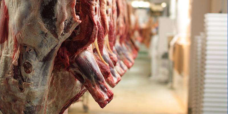 Das Fleisch geschlachteter Rinder hängt rechts in einer langen Reihe in einem Schlachthaus. Rechts daneben verschwommener Hintergrund. Foto: Thomas Bjørkan | Zuschnitt: Radio Corax.