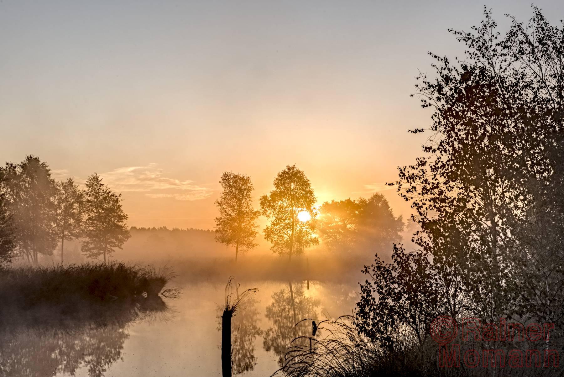 Farbfotografie im Format 3:2 Landscape.
Die dunkelgelb leuchtende Sonne steht in voller Größe, gerade über dem, weiter im Hintergrund zu erkennenden Waldrand. Sie scheint durch eine kleine Gruppe von Bäumen, welche am Rand eines in leichtem Morgennebel liegenden Moorsees stehen. Im Vordergrund, am rechten Rand, steht eine junge Birke.