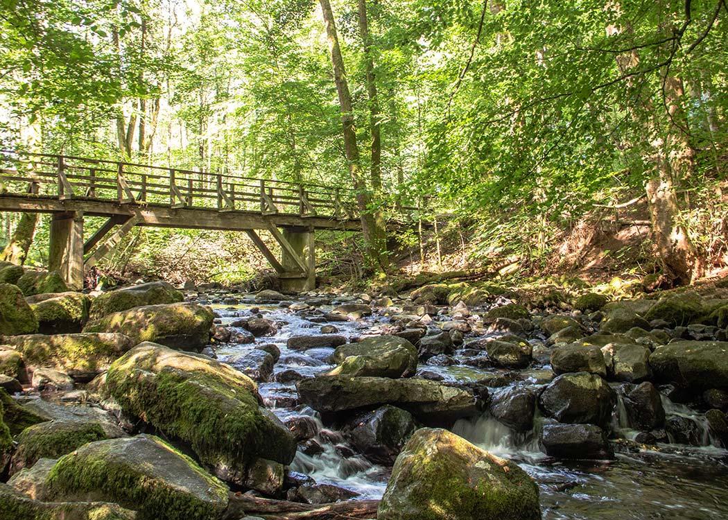 Holzbachschlucht, Westerwald.
Ein kleines, felsiges Gewässer in einer kleinen schattigen Schlucht.
Das eiskalte Wasser und das frische Grün der Buchen und Eichen drumherum ... eine schöne Erfrischung.