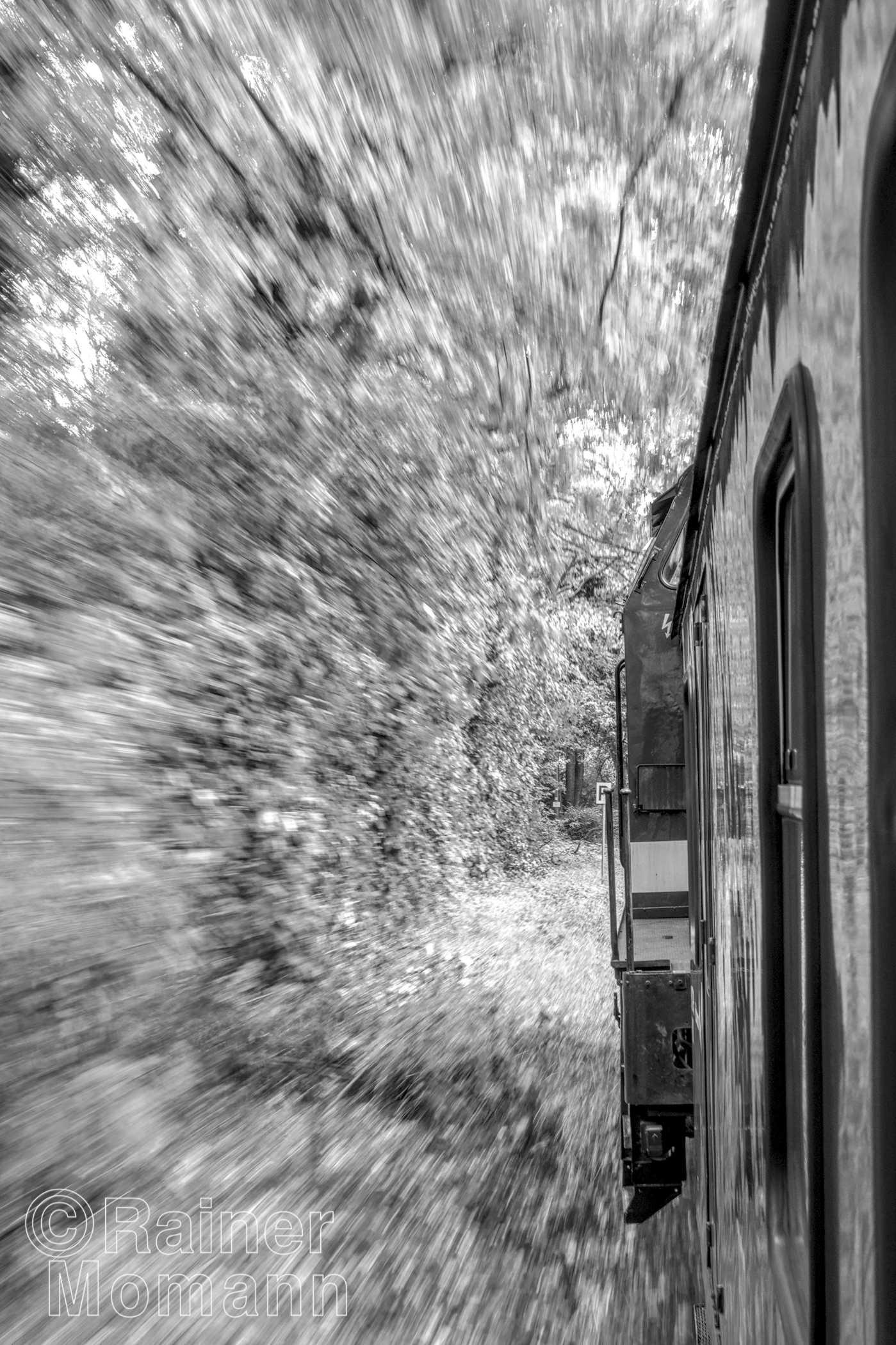 Schwarzweißfotografie im Format 3:2 Portrait.
Die Aufnahme wurde aus dem Fenster eines alten Eisenbahnwagons heraus aufgenommen. Die Lok ist gerade so zu erkennen. Der Zug fährt rechts und nah am Waldrand. Durch die Bewegung ist der Waldrand auf der linken Seite verschwommen. Lok und Wagon sind scharf, so wie der Wald, weiter vor der Lok. Es ist wie ein Tunnelblick.